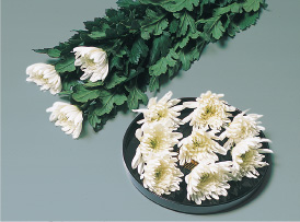 お別れ花(一本) 165円